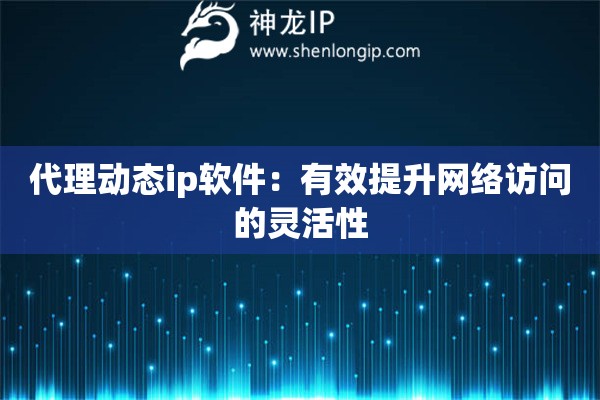 代理动态ip软件：有效提升网络访问的灵活性