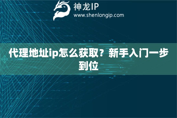 代理地址ip怎么获取？新手入门一步到位
