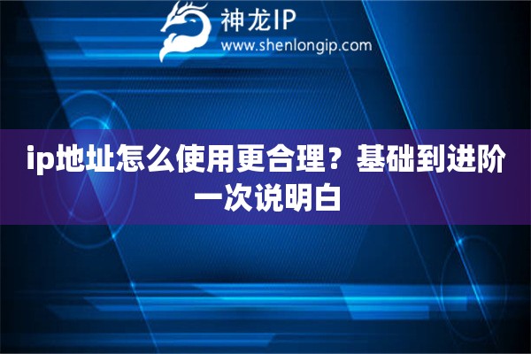 ip地址怎么使用更合理？基础到进阶一次说明白