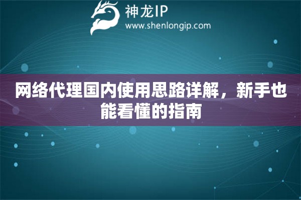 网络代理国内使用思路详解，新手也能看懂的指南