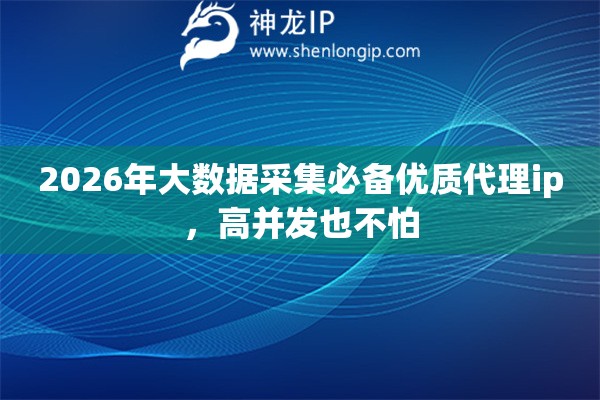 2026年大数据采集必备优质代理ip，高并发也不怕