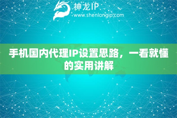 手机国内代理IP设置思路，一看就懂的实用讲解