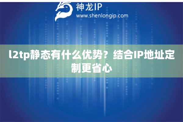 l2tp静态有什么优势？结合IP地址定制更省心