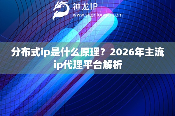 分布式ip是什么原理？2026年主流ip代理平台解析