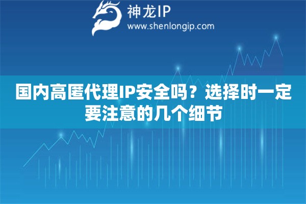 国内高匿代理IP安全吗？选择时一定要注意的几个细节