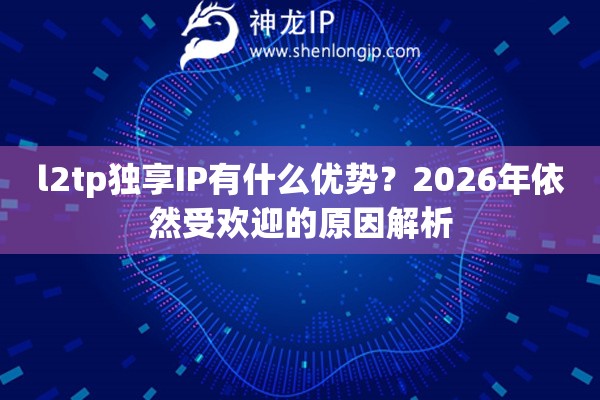 l2tp独享IP有什么优势？2026年依然受欢迎的原因解析