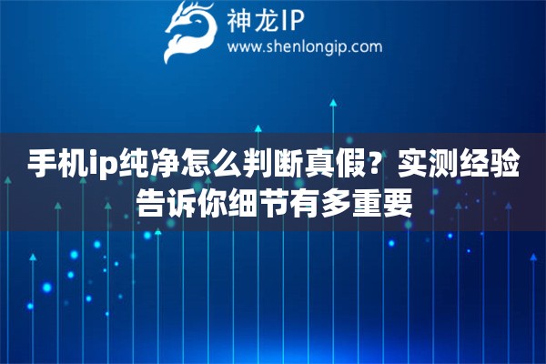 手机ip纯净怎么判断真假？实测经验告诉你细节有多重要