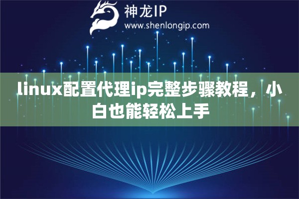 linux配置代理ip完整步骤教程，小白也能轻松上手
