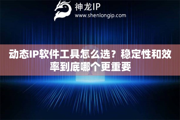 动态IP软件工具怎么选?稳定性和效率到底哪个更重要 动态IP软件工具怎么选?稳定性和效率到底哪个更重要