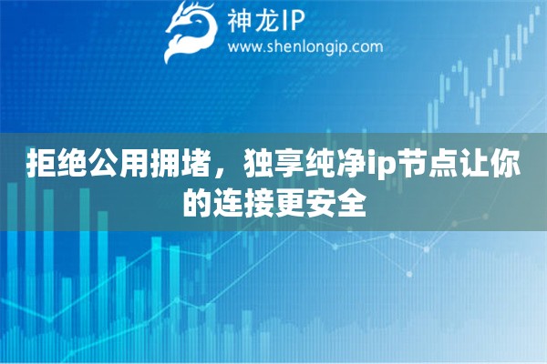 拒绝公用拥堵，独享纯净ip节点让你的连接更安全