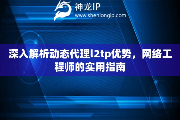 深入解析动态代理l2tp优势，网络工程师的实用指南