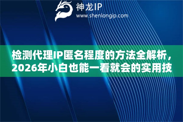 检测代理IP匿名程度的方法全解析，2026年小白也能一看就会的实用技巧