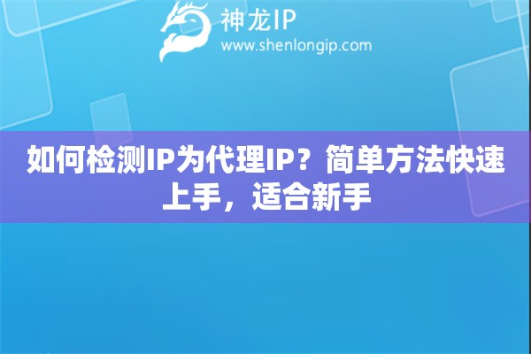 如何检测IP为代理IP？简单方法快速上手，适合新手