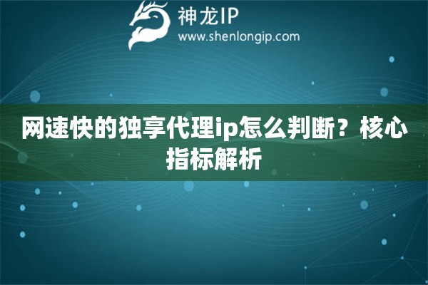网速快的独享代理ip怎么判断？核心指标解析