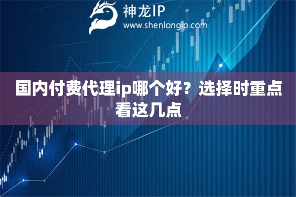 国内付费代理ip哪个好？选择时重点看这几点