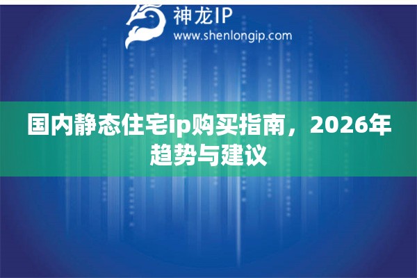 国内静态住宅ip购买指南，2026年趋势与建议