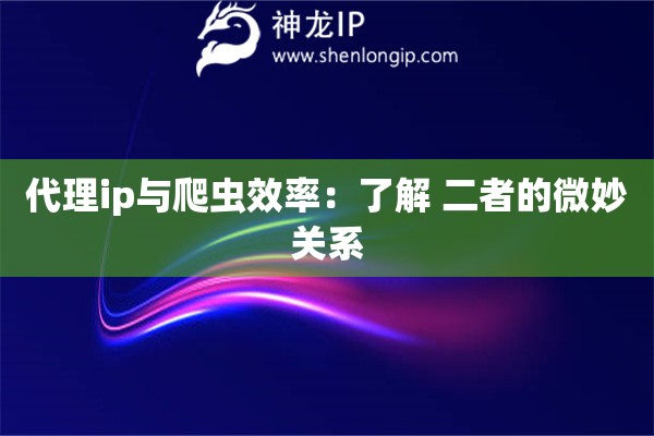 代理ip与爬虫效率：了解 二者的微妙关系