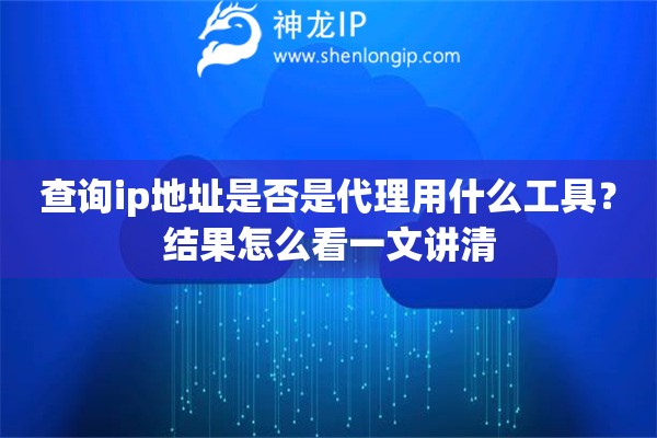 查询ip地址是否是代理用什么工具？结果怎么看一文讲清