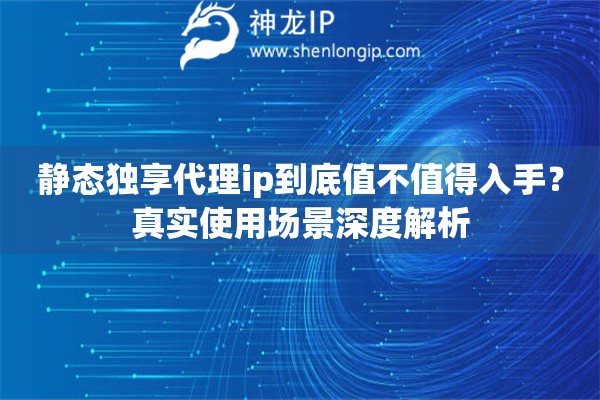 静态独享代理ip到底值不值得入手？真实使用场景深度解析