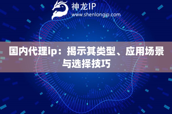 国内代理ip：揭示其类型、应用场景与选择技巧