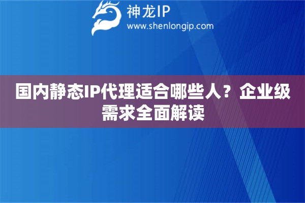 国内静态IP代理适合哪些人？企业级需求全面解读