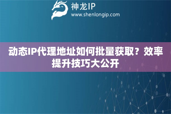 动态IP代理地址如何批量获取？效率提升技巧大公开