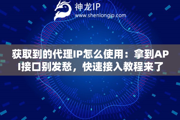 获取到的代理IP怎么使用：拿到API接口别发愁，快速接入教程来了