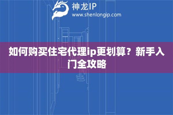 如何购买住宅代理ip更划算？新手入门全攻略