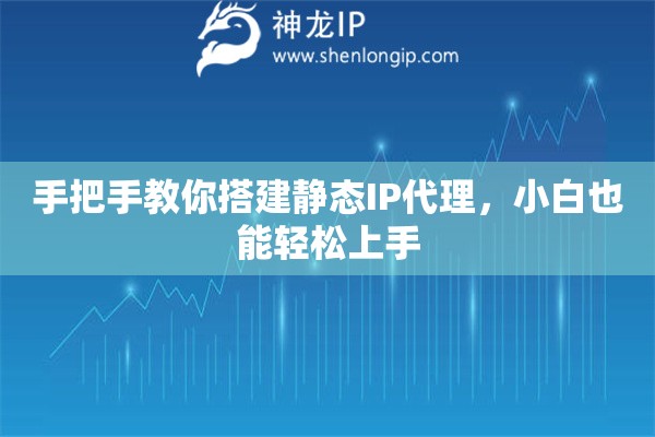手把手教你搭建静态IP代理,小白也能轻松上手 手把手教你搭建静态IP代理,小白也能轻松上手