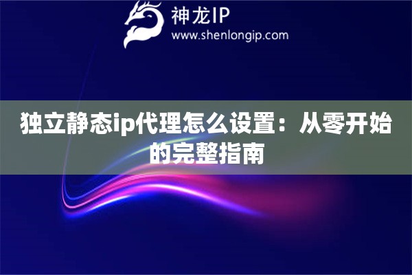 独立静态ip代理怎么设置：从零开始的完整指南