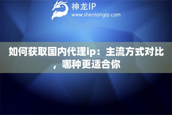 如何获取国内代理ip：主流方式对比，哪种更适合你