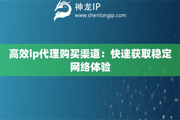 高效ip代理购买渠道：快速获取稳定网络体验