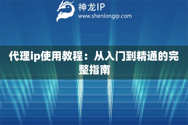 代理ip使用教程：从入门到精通的完整指南