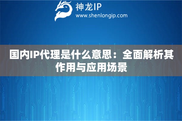 国内IP代理是什么意思：全面解析其作用与应用场景