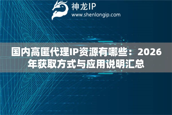国内高匿代理IP资源有哪些：2026年获取方式与应用说明汇总