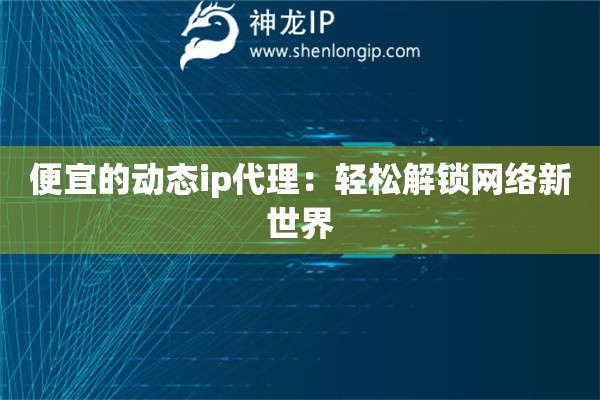 便宜的动态ip代理：轻松解锁网络新世界