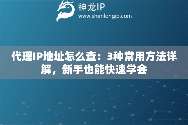 代理IP地址怎么查：3种常用方法详解，新手也能快速学会