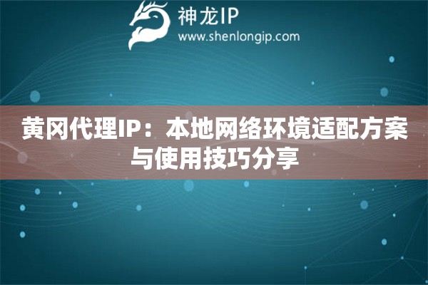 黄冈代理IP：本地网络环境适配方案与使用技巧分享