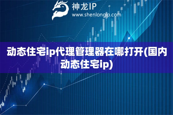 动态住宅ip代理管理器在哪打开(国内动态住宅ip)