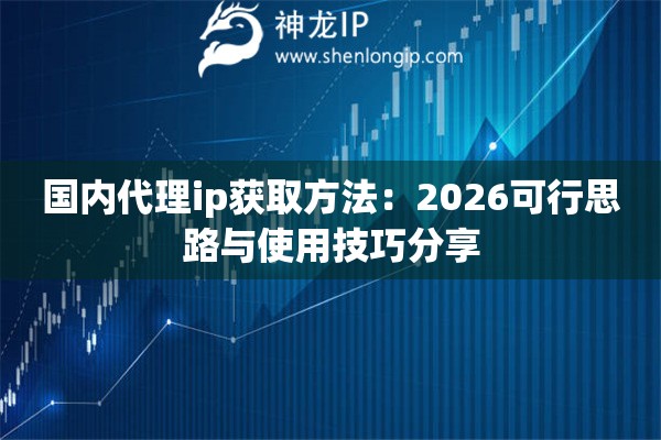 国内代理ip获取方法：2026可行思路与使用技巧分享