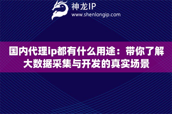 国内代理ip都有什么用途：带你了解大数据采集与开发的真实场景