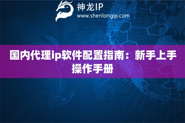国内代理ip软件配置指南：新手上手操作手册