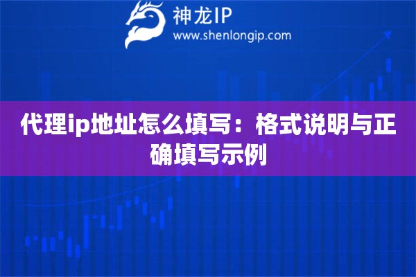 代理ip地址怎么填写：格式说明与正确填写示例