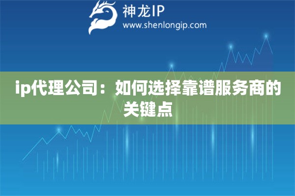 ip代理公司：如何选择靠谱服务商的关键点