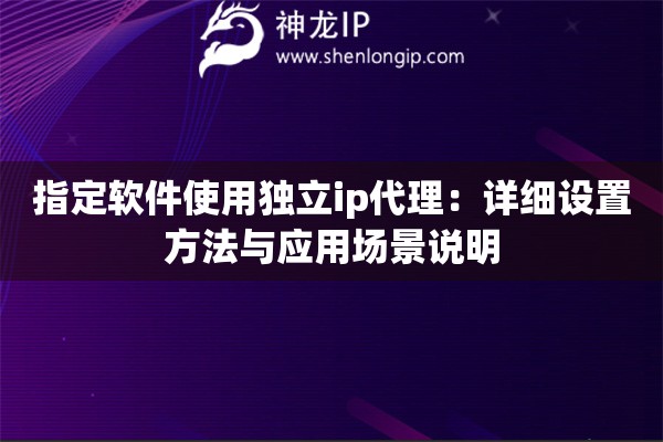 指定软件使用独立ip代理：详细设置方法与应用场景说明