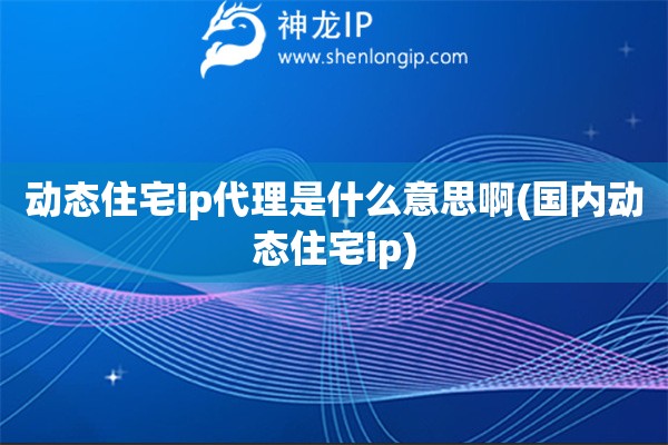 动态住宅ip代理是什么意思啊(国内动态住宅ip)