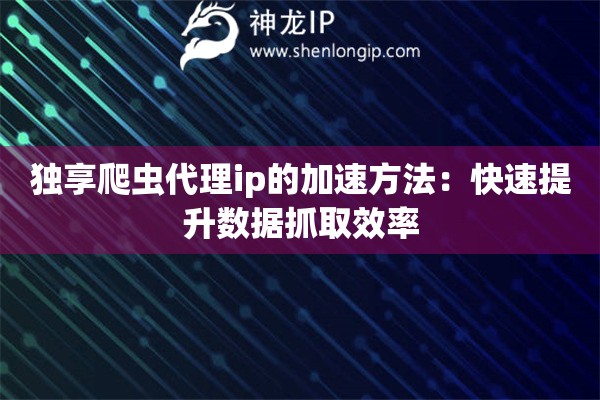 独享爬虫代理ip的加速方法：快速提升数据抓取效率