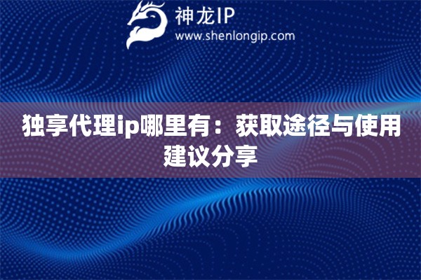 独享代理ip哪里有：获取途径与使用建议分享