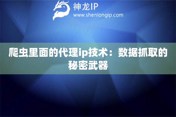 爬虫里面的代理ip技术：数据抓取的秘密武器