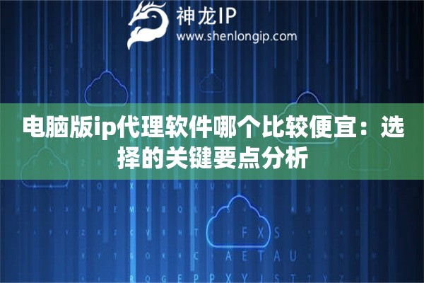 电脑版ip代理软件哪个比较便宜：选择的关键要点分析